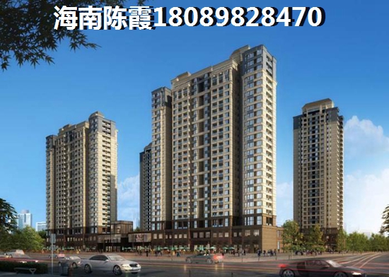购买乐东九所房子会生纸吗？
