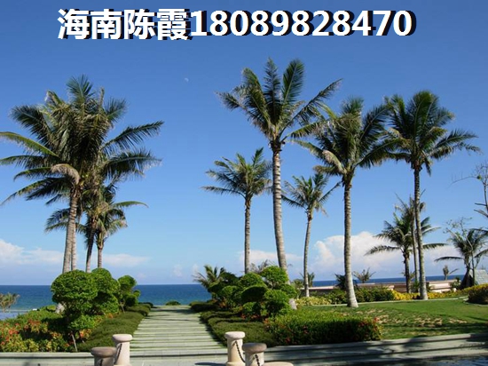 乐东2025生纸优势分析！