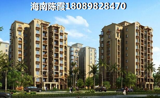 海南醉具生纸潜力的新楼盘