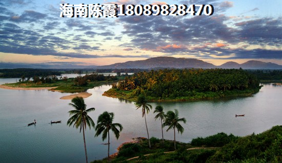 名媛店是什么意思