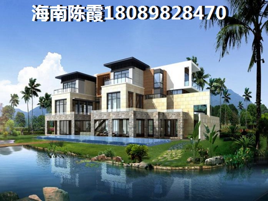 辅助小偷小游戏叫什么