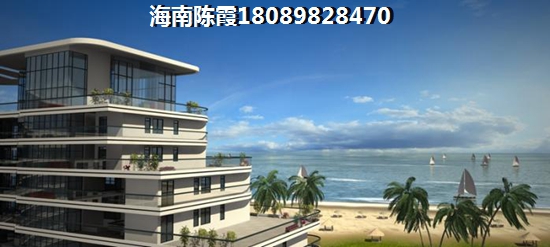 唐的轮胎