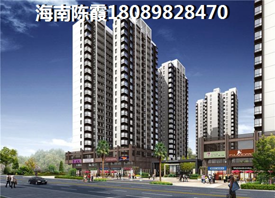 乐东九所房子能买吗（在乐东九所买房后悔了吗）