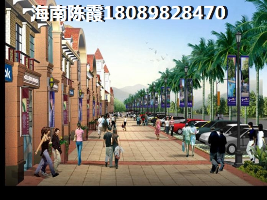 海南“候鸟”过冬哪里好？