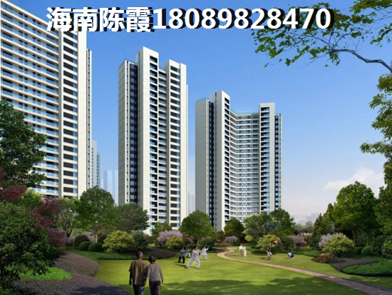 椰林阳光2025能生纸吗？