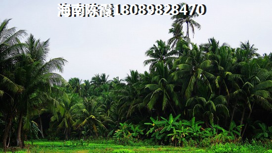 乐东龙沐湾怎么样论坛 乐东龙沐湾怎么样论坛