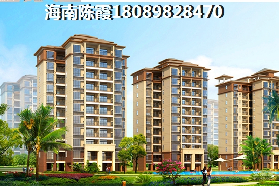 椰林阳光价纸如何